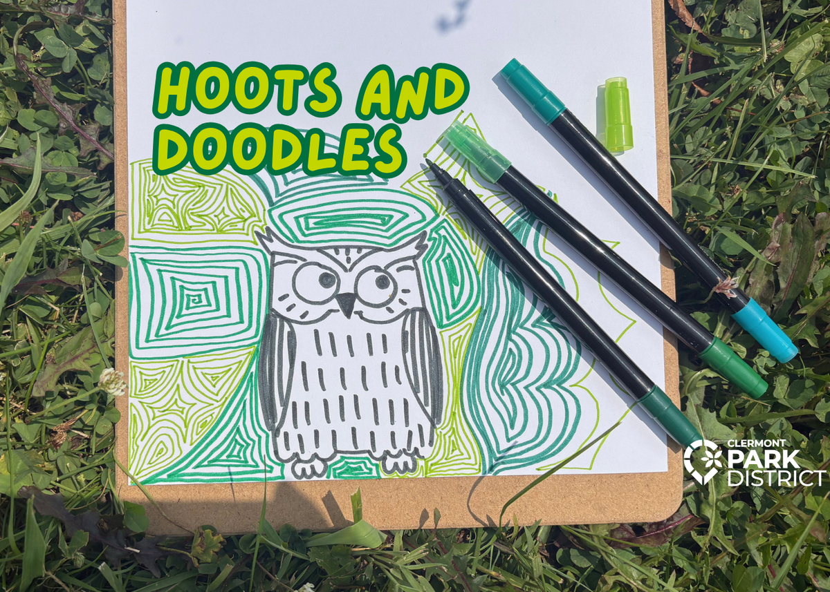 doodle of owl and abstract lines
